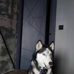 Межкомнатная дверь LINE02 от производителя FLYDOORS