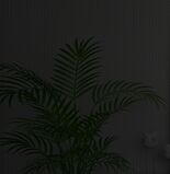 Темное стекло