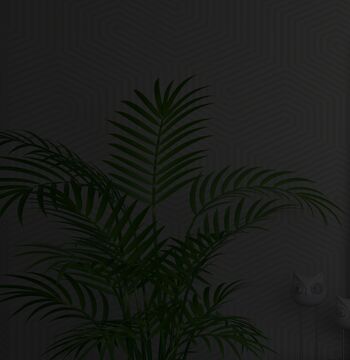 Темное стекло